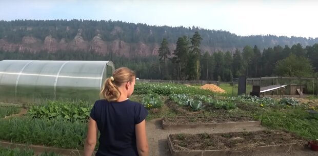 Лунный календарь посева на июнь-2025: что и когда нужно сделать на огороде и в саду для урожая мечты