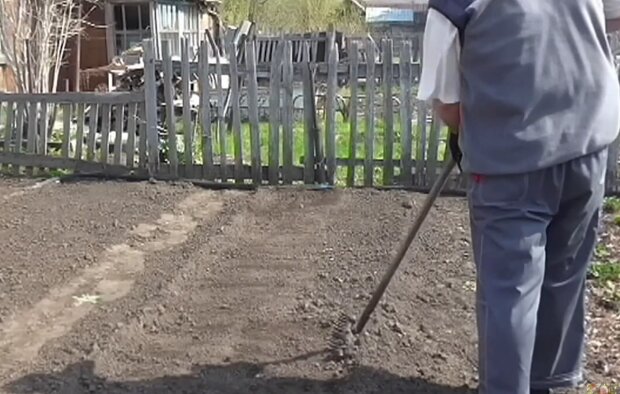 Владельцы огородов, дач, земли и жители сел впадут в ступор: заставят платить за участки огромные деньги