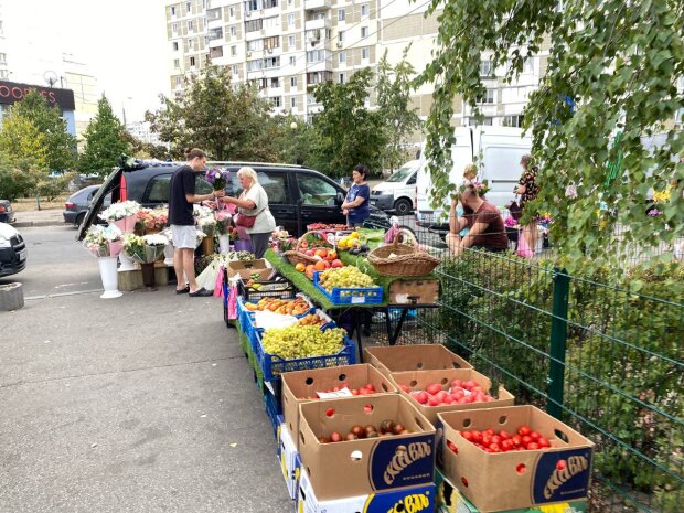 Готовьтесь запасаться на зиму: в Украине начался обвал цен на овощи и сезонные продукты