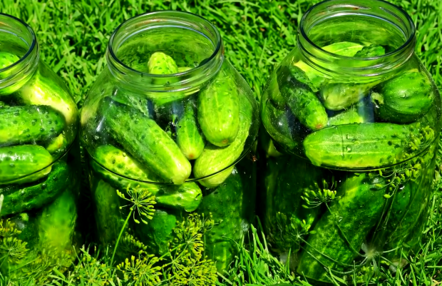 Натурально и вкусно: как законсервировать огурцы без уксуса — лучшие бабушкины рецепты