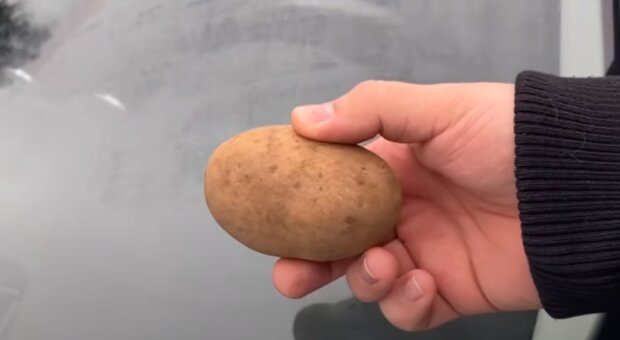      :    