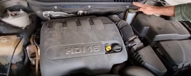 Почему важно стучать по капоту автомобиля осенью?