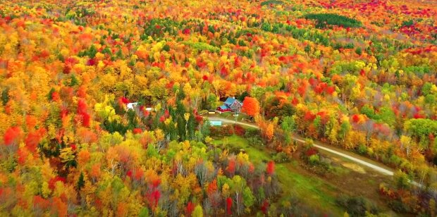 Аномальный ноябрь: погода приятно удивит, влупит "бабье лето"