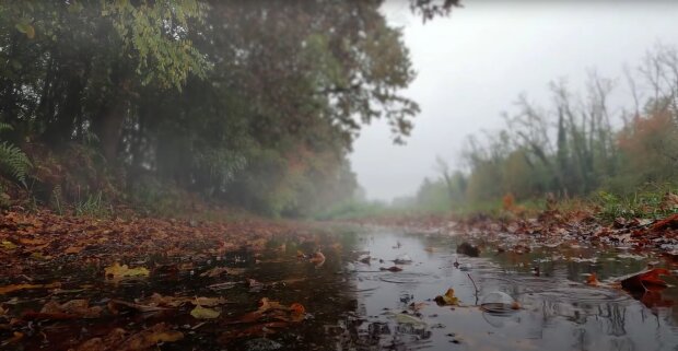 Дожди, похолодание и дикие качели: погода готовит климатический удар. Прогноз