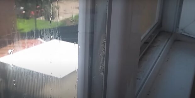 Как избавиться от запотевания окон, плесени, конденсата и грибка: исчезнут раз и навсегда