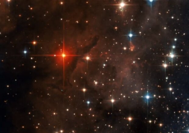  -     ,  -  ,  -   :   22  2025 