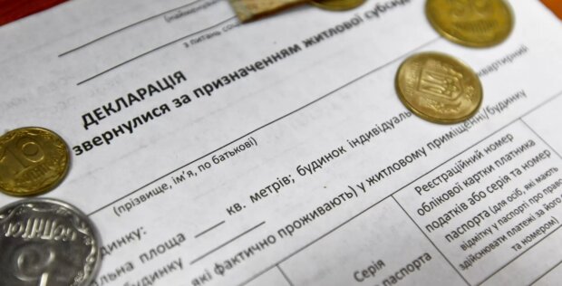 Почему нельзя сажать перец куда попало: и как одна ошибка уничтожает весь урожай