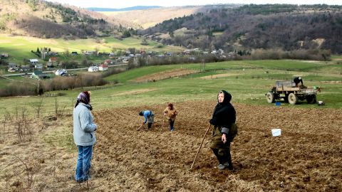 У людей начнут забирать паи и огороды: кто и почему лишится земли
