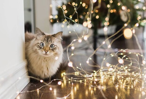 Наконец-то прет: 3 знака Зодиака входят в период удачи, и остановить их уже невозможно