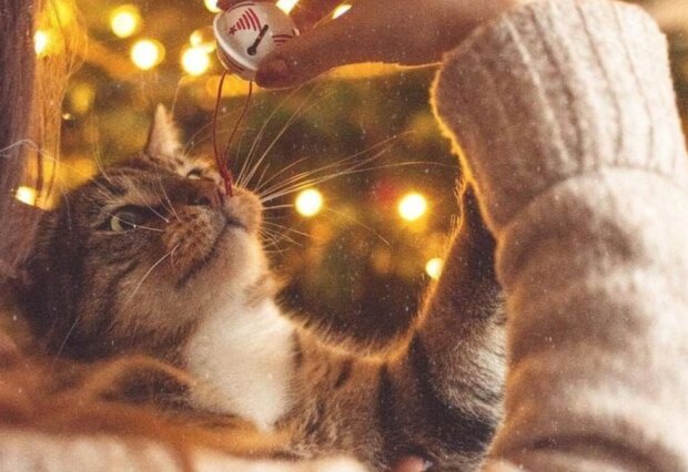 Кому наконец повезёт? Эти 3 знака Зодиака бросают тяжелую ношу и буквально оживают