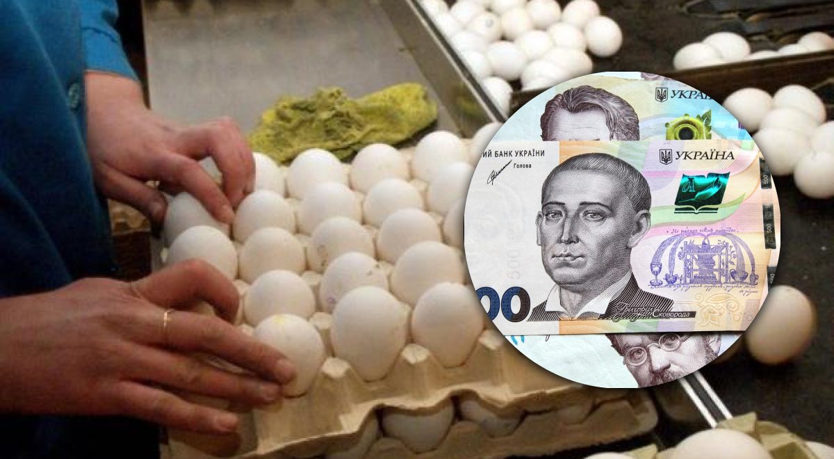   100 ,   300 :           -  