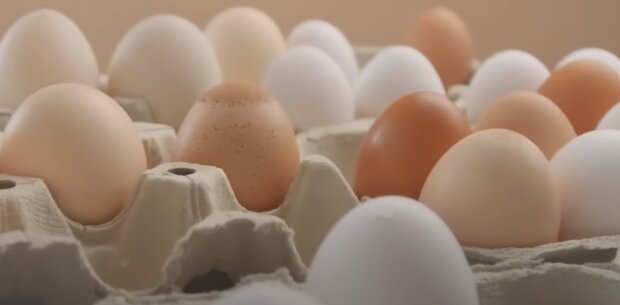 "������" �� ����� ��� �� �����: ���� ������ ������� � ����