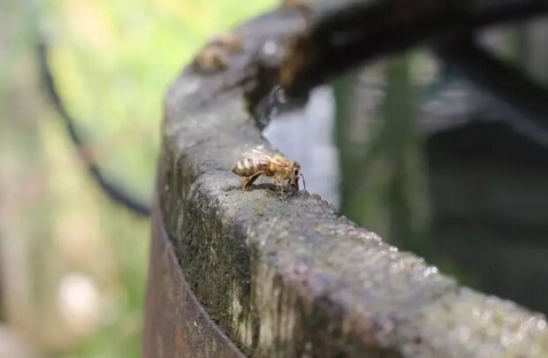 �� �� ��������� � ������������, � ���: ���� ������ ���������� ����� ���� � ��������� ������ �����