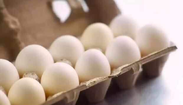 ���� ����� �� ����������: ���� �� ���� ���� ������� - �������� � ������