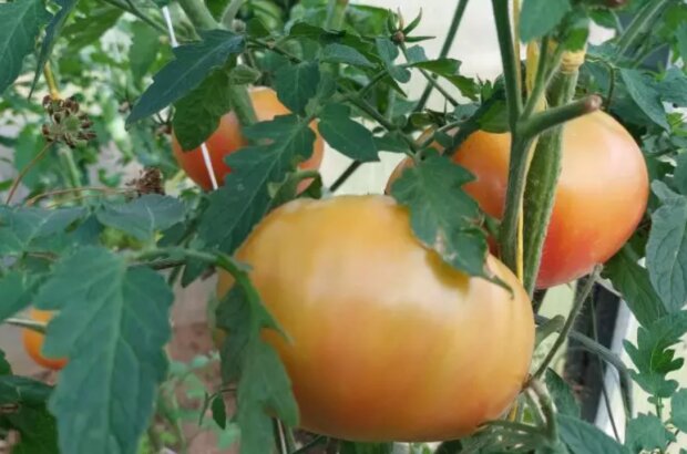 ������� � ������ ���� - ��������� ����� � �����: ������ �������, � ������� ���������� ������