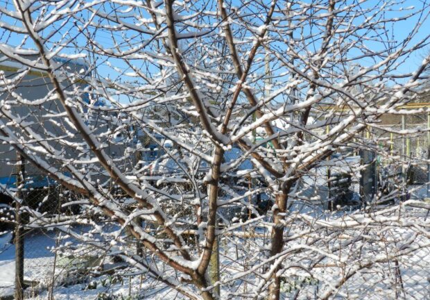 �� ��������� ��� 5 �������� � ������� ����� ������ ���������� ��� ������