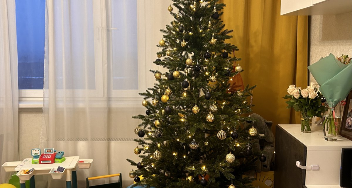 ��� ����� ����������: ���� ������ ���� � ��� ����