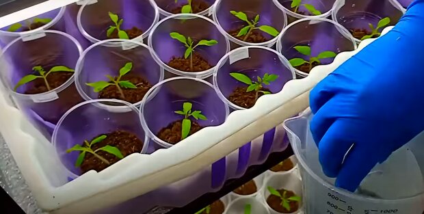 ����� � ������ ����: ��� �������� � ������, ����� ����� ������� ������ ������ ����