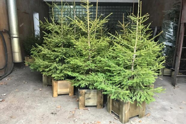 �� � ���� ������ �� ����������� ����: ��� �������� � �������� ��������� ��� �������, ���� � ��������