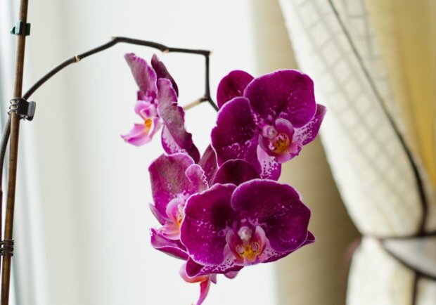 ������ ����� ������� ���� ��� ���������� �����: ��-�� ���� �� ������ ���� ���������