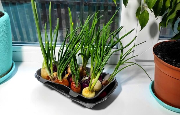 �� ������, ��� ����� ����� ���� ������ ���? ��� ��� ��������� ��� ����� �� �����������