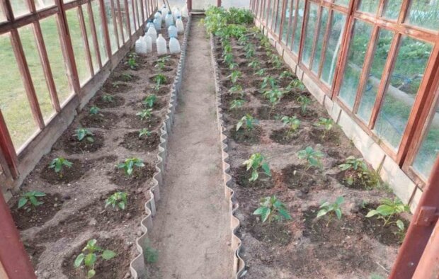 Зимний уход за теплицей: что нужно сделать сейчас, чтобы весной не остаться без урожая