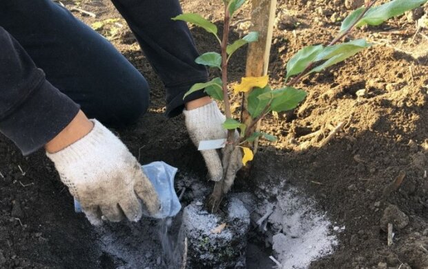 �� �� ��������, ������� ���� ������������� ����� ��� ������: ����������� � ���������� ��� ������