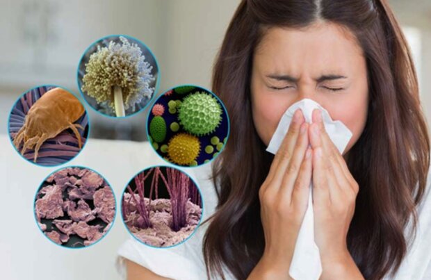 �� ������ ������ ��������: ��� �������� ��������� ����� ���������