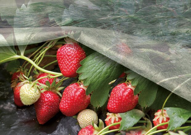 ������� ������ �� ������ - � �������� ���������� ������: �����, ������� ������, � ���