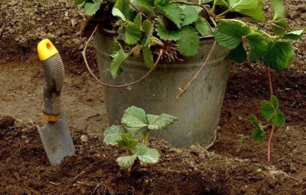 �������� "������" ��� �� �����: ��� ������ �������� �� �� �����, ����� ����� ���� ��������� ������