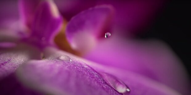 ������ ������� �������� �������: �� ������ ������� ��������� ����������