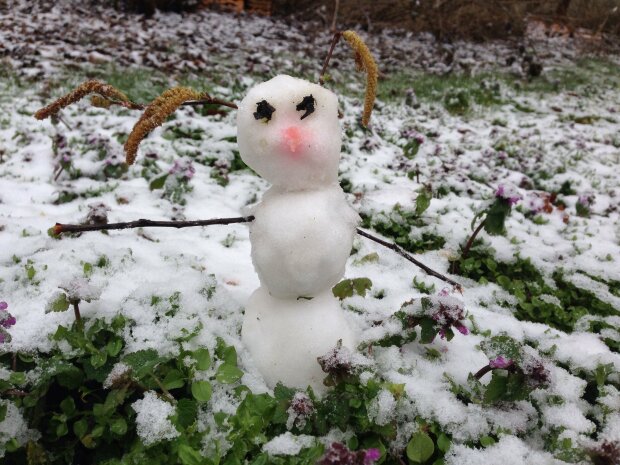 ����� ��� �� ������! ������ ������ � ���� �������� � ����� ������ ������� ������ ���� � ����������