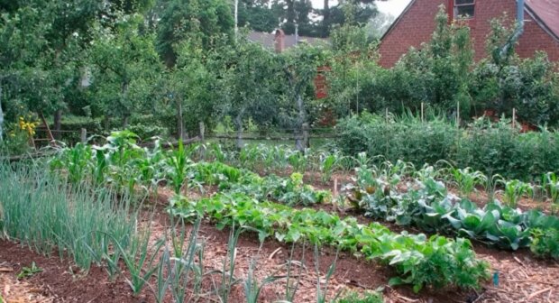 ��� � ���� ��������� ������: ������� ������� ���, � �� ���������� ����������