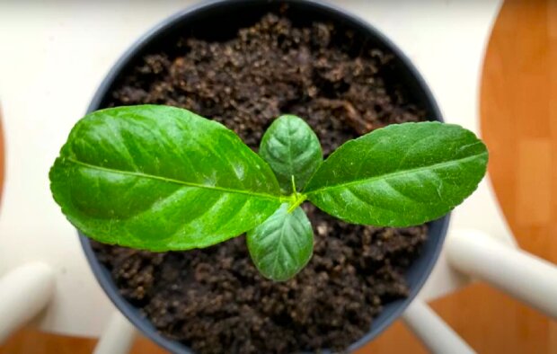 ���������� � ��������, �� �����: ��� ����� ������� � ������� ��� ������� ������ � ����� �����