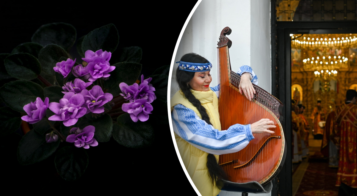 �� ��������� ������, ���������� �� �����: 3 ������� ������� ��������� ��������, ��� ������, � ��� - ���