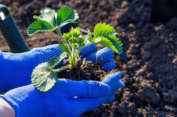 ������� � ��� ��� - �������� ����� ����: ����� ������ �������� �� ������� � 2026 ����