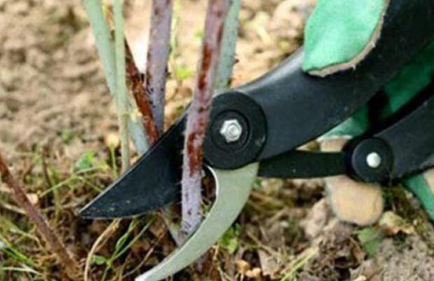 ������� �������� � ������ ������: ��� ����� ����� ������� �������� ��� ���������� ������