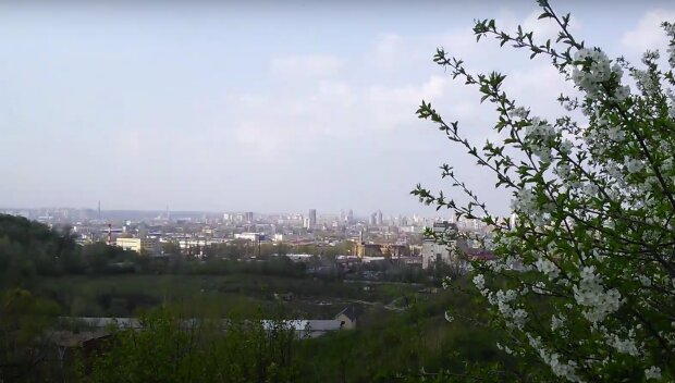 �������� �� ����-2026 ��� ���� ������ ������: ���� �������� �����, � ���� ������� �� ��� �����