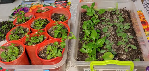 �� �� ��������, ��� ������ ������ � ����� ��������: �� ���������� � ��������