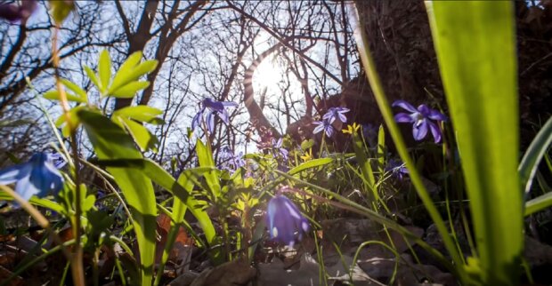 �������� �� ���� 2026 ���� �������� ��� ����� �������: ������ ���������, ���� "����� ������"