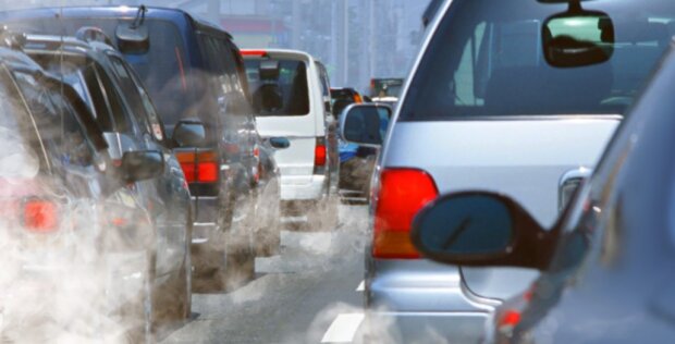 ����� ������� ���� ���� ������: ��� ������ ���������� "������� ����" �� ������ � ����� �������