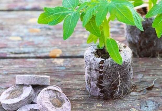 �����, ������ � ������? ��� ������ � �������� ���������, � ������� ������ ��������