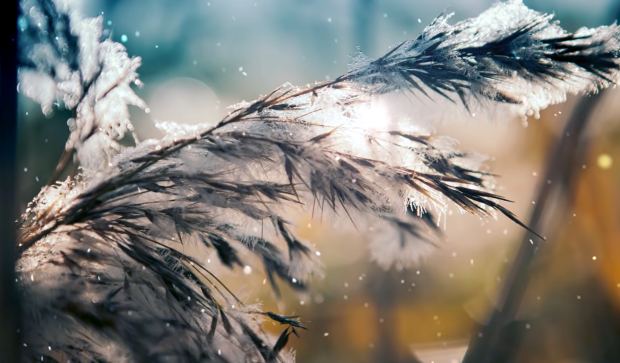 �������� ����������� ������������: ����� ����� ������ �������, 22 �������