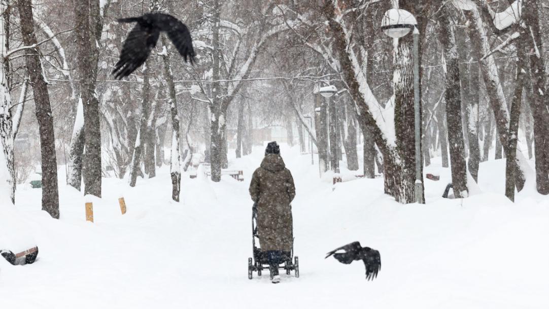 Зима резко возвращается: 23 февраля мокрый снег, гололедица и желтый уровень опасности по стране.