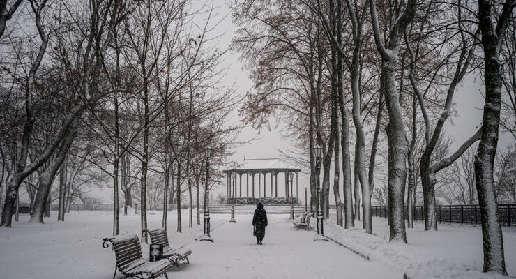 �����, ������ ���� � ��������� ������ � ������ ����: ����� ����� ������ 25 ������� �� �������