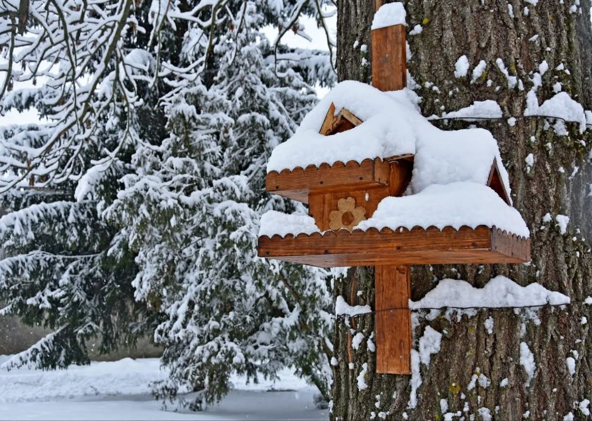 �������� ����������: ������� ��� ����� ���� ������ - ����� �������� ������