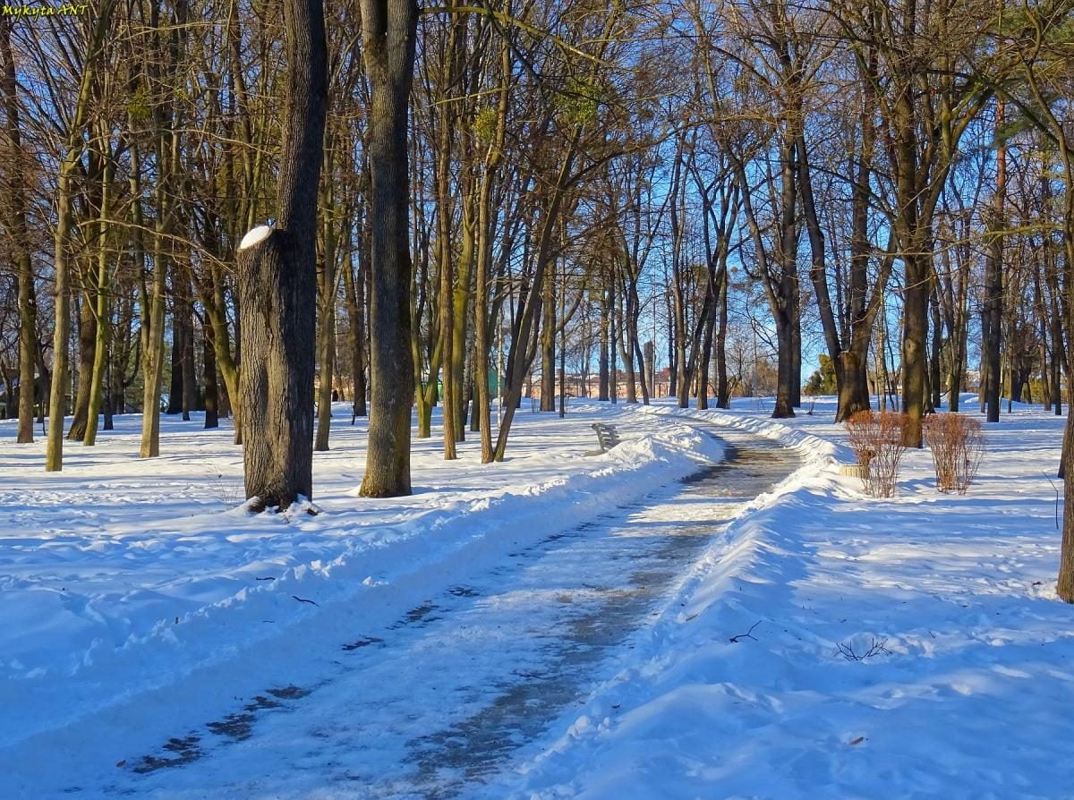 ����� 4 � ������ �������� ������: ��� ������� ��� ������� �� �������� ����������