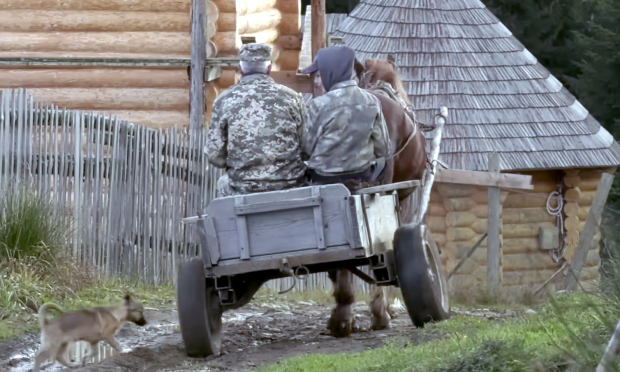 ����� �������� ��������� ������� ��������� ������� � ����: ��������� ��� �������� �� ����