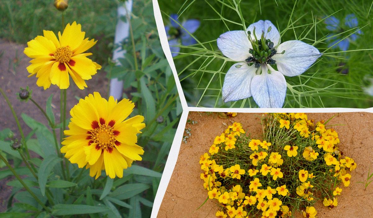 ���������� �����: 6 ����� ������ ��� ������������ �������� ���� �� �����