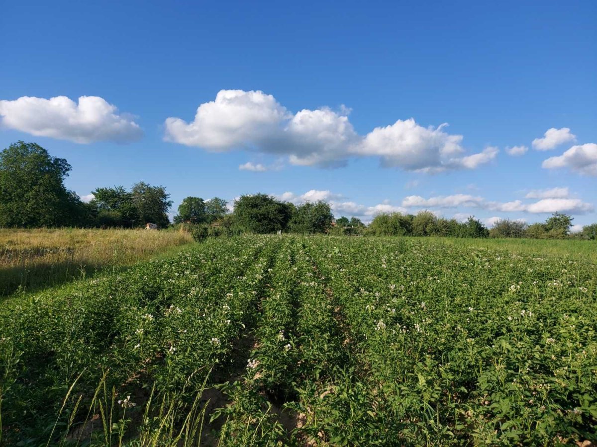 ���� ������ ���������: ��� ���������, �������������� �� ��� ���, � ������ ��� ����� ������� ����� ������